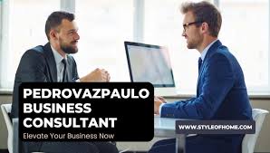 pedrovazpaulo business consultant